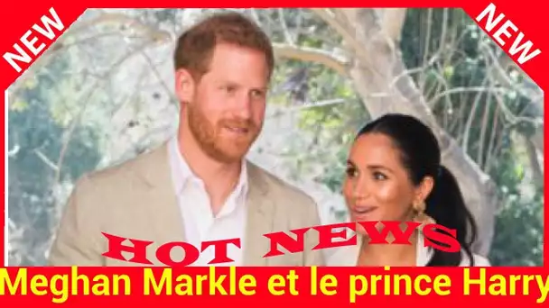 Meghan Markle et le prince Harry : ils savent déjà comment ils vont éduquer leur enfant