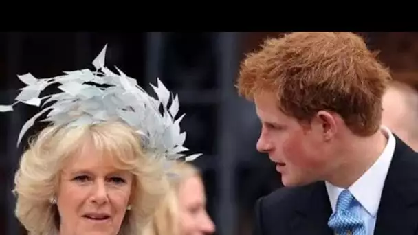 GB News: Un expert avertit que le silence de Harry sur la «reine Camilla» montre des sentiments «nég