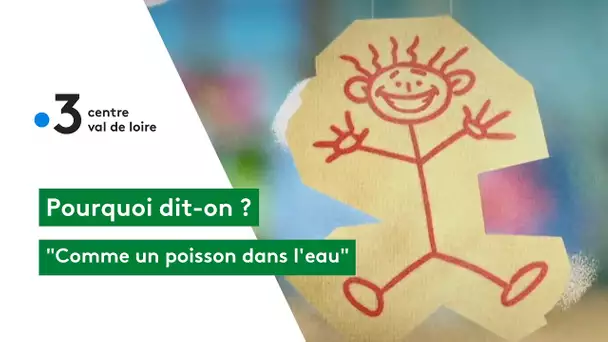 Pourquoi dit-on : comme un poisson dans l'eau ?