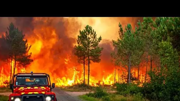 Incendies : évacuations dans le sud-ouest de la France