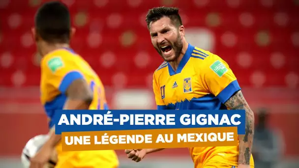 Tigres : André-Pierre Gignac, une légende au Mexique !