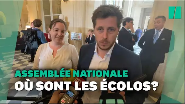 Où sont les écolos? "On fait le choix de ne pas organiser le chahut dans l'Assemblée"