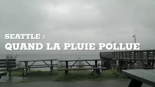 Seattle : quand la pluie pollue