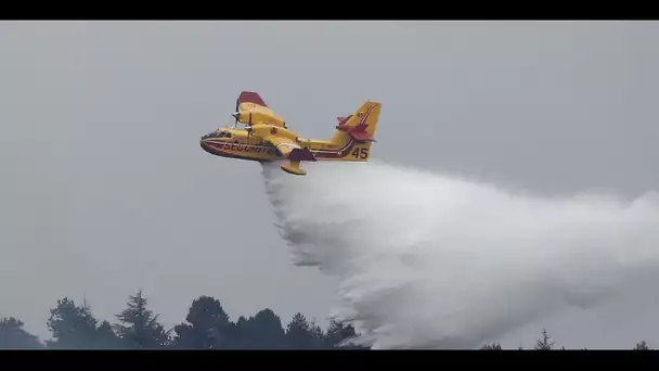 "C'est une aide importante" : Des renforts arrivent en Corse pour lutter contre l'incendie