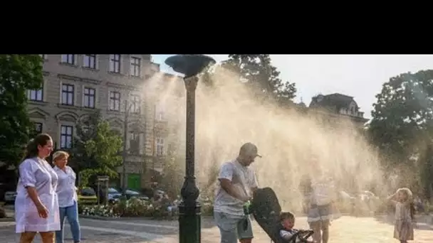 Vagues de chaleur dans le sud de l'Europe : le pire est à venir