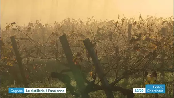 Charente : une distillerie artisanale de Cognac