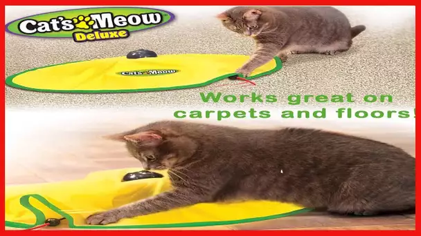 Cat's Meow- Motorized Wand Cat Toy, Automatic 30 Minute Shut Off, 3 Speed Settings, The Toy Your Cat