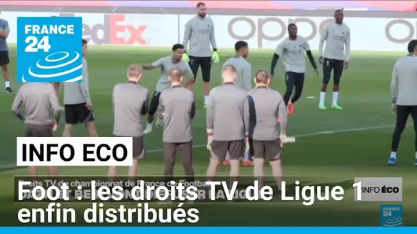 Les droits TV de Ligue 1 enfin distribués • FRANCE 24