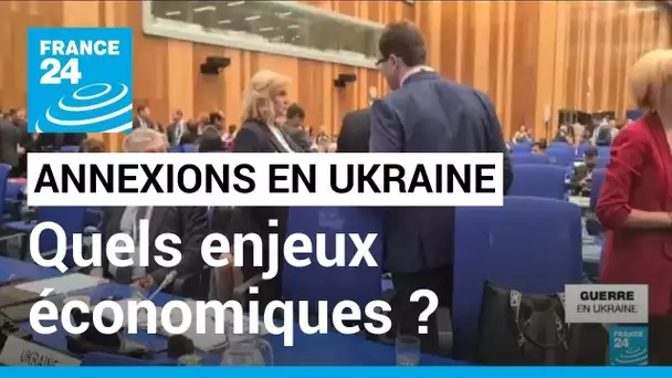 Annexions des régions ukrainiennes : quels enjeux économiques pour la Russie ? • FRANCE 24