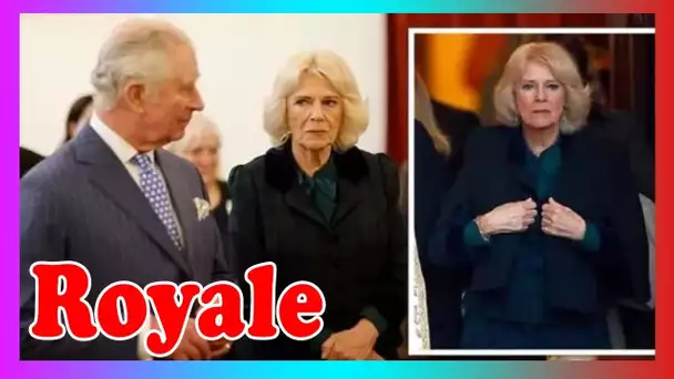 Camilla SOUTENUE par des fans royaux émus alors que la duchesse montre son côté « compatissant »