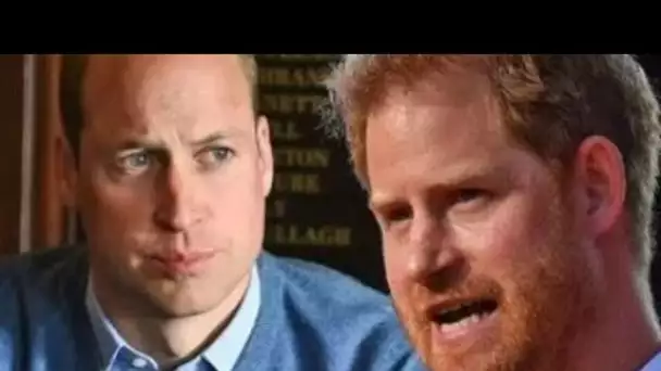Le «lien incassable» du prince William et Harry pour réunir des frères, selon des experts