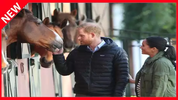 ✅  Meghan Markle et Harry : ce mystère enfin résolu, 2 ans après