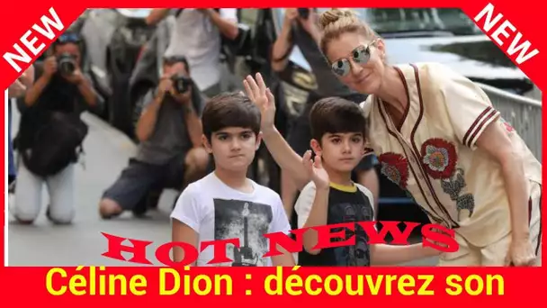 Céline Dion : découvrez son astuce pour que ses jumeaux « décrochent » de leurs jeux