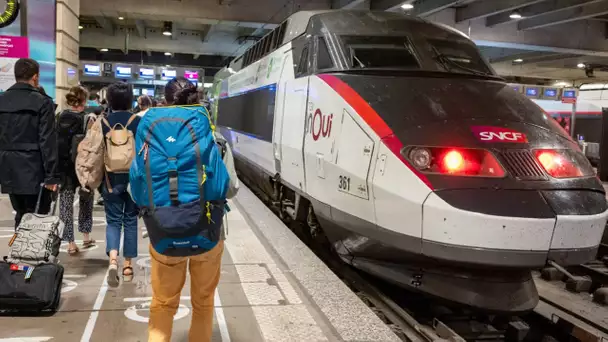 Avions, TGV, Intercités... 2022, l'une des pires années en matière de ponctualité sur la dernière…