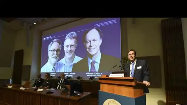 Prix nobel de médecine : trois spécialistes de l'oxygénation des cellules récompensés