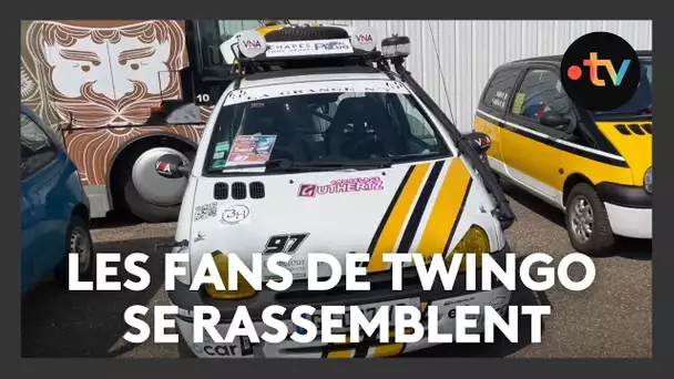 Les fans de Twingo se rassemblent : "c'est une passion, j'aime leurs petites bouilles de grenouille"