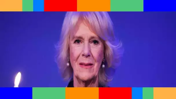 Camilla Parker Bowles engagée contre les violences domestiques  son discours touchant