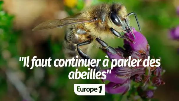 Paul Fert : "Il faut continuer à parler d'abeilles et à intéresser les gens"