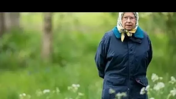 La reine du "bon ciel" prise pour un sosie après qu'une femme a heurté un monarque à Sandringham