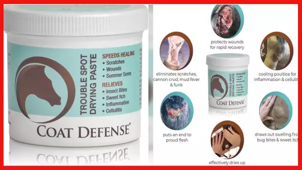 COAT DEFENSE Trouble Spot Drying Paste for Horses - Natural Equine Wound Care That Provides Safe