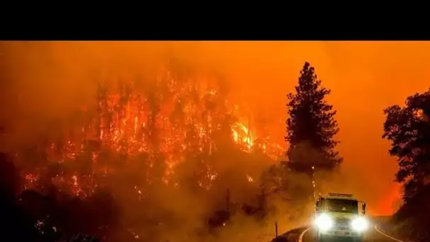 Incendie McKinney : le plus vaste feu de forêt depuis le début de l'année frappe la Californie