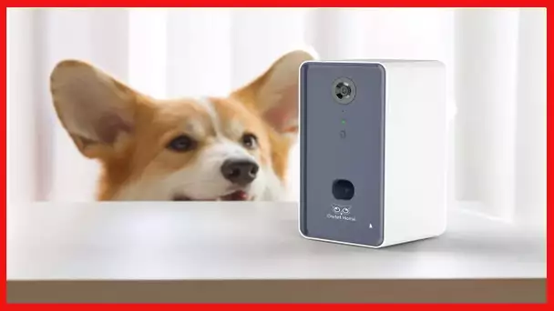 Owlet Home | Pet Camera with Treat Dispenser & Tossing for Dogs/Cats, WiFi, 1080P Camera, Live Video