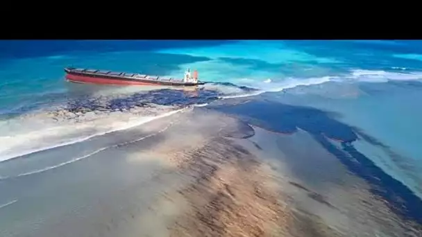 Au large de l'île Maurice, la crainte d'une catastrophe écologique