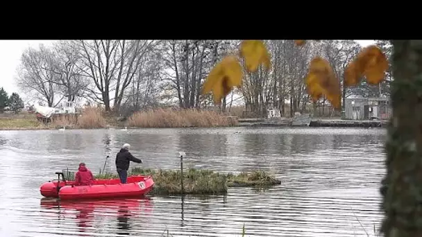 Imiter la nature pour dépolluer les lagunes du nord de l'Europe