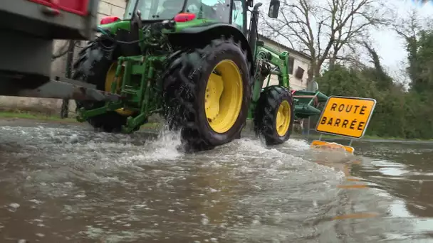 Inondations : pour se rendre à Courcoury en Charente-Maritime, il faut une barque ou un tracteur