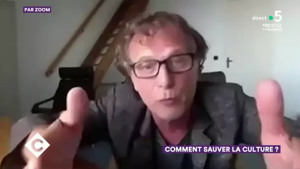 Comment sauver la culture ? - C à Vous - 04/05/2020