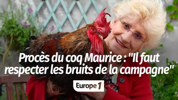 Procès du coq Maurice, accusé de chanter trop tôt : "Il faut respecter les sons de la campagne"