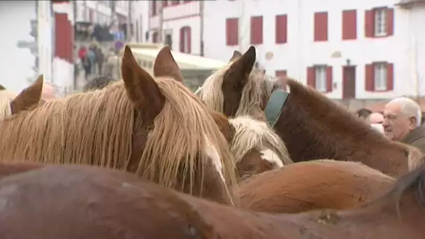 Bande annonce Txirrita Foire d Espelette