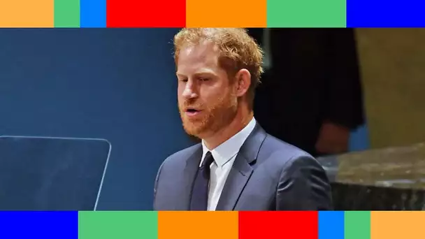 Prince Harry copieur ? Ces détails resucés de son discours à l'ONU qui ne sont pas passés inaperçus