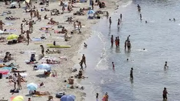 A Marseille, des bénévoles nettoient les plages