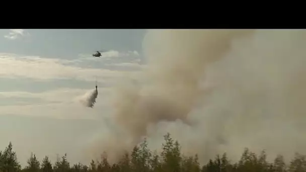 Feux de forêts en Russie : l'état d'urgence décrété dans une 6ème province