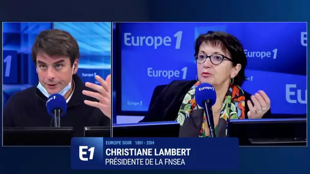 Christiane Lambert : "C'est tout à fait normal qu'on priorise les emplois français"