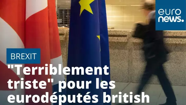 Le Brexit est "terriblement triste"