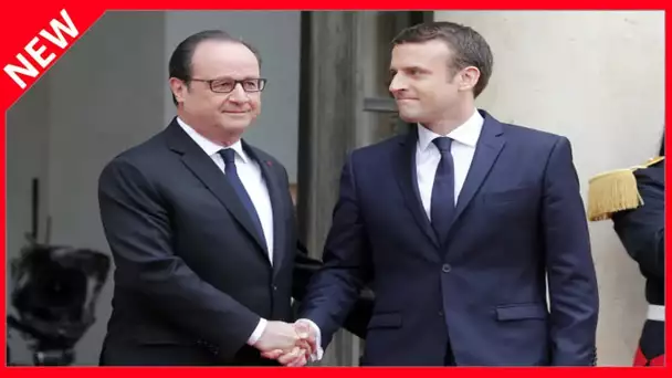 ✅  François Hollande : ce tacle envers Emmanuel Macron et Nicolas Sarkozy