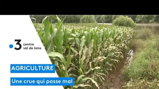 Agriculture : en Indre-et-Loire, une mise à jour trop tardive du site vigicrue pose problème