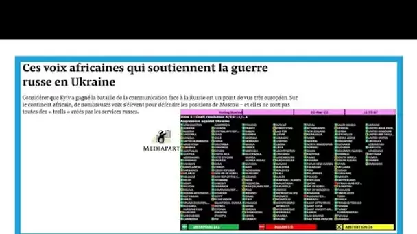 Derrière la "poutinophilie" de certains pays africains, la "détestation de l'Occident" • FRANCE 24