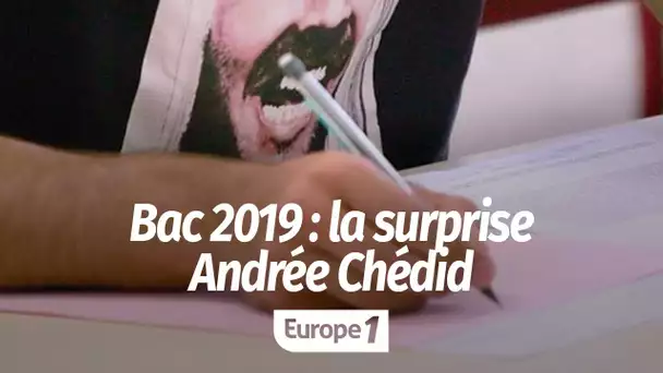 Bac de français 2019 : les lycéens atterrés d’apprendre qu'Andrée Chedid est une femme