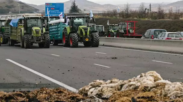 EN DIRECT - Blocages : les agriculteurs lèvent certains barrages mais promettent de revenir dès l…