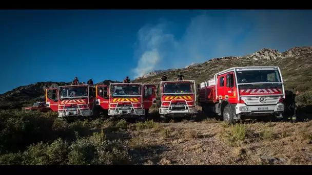 Risque incendie : dans le Var, les pompiers sur le qui-vive pour éviter la catastrophe