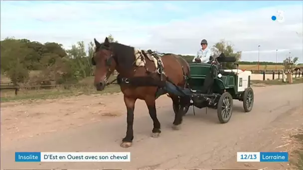 Tour de France de Fanny et Texas en calèche