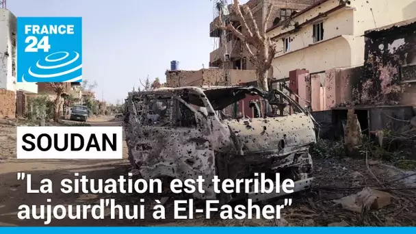 Soudan : "la situation est terrible aujourd'hui à El-Fasher", au Darfour • FRANCE 24