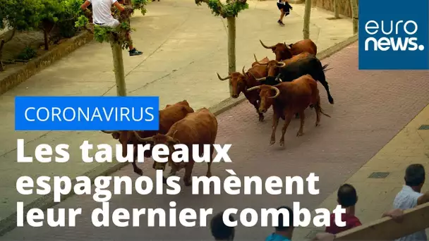 Les taureaux espagnols mènent leur dernier combat