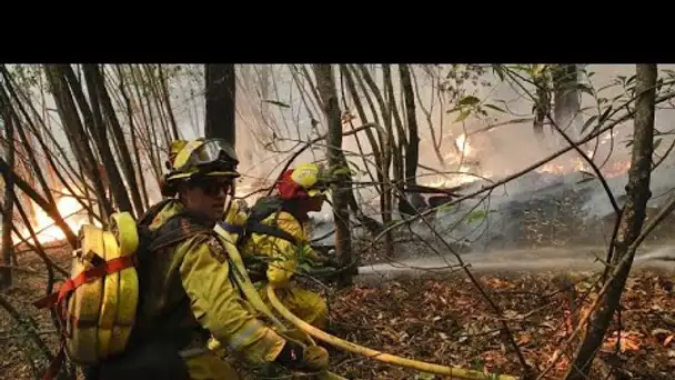 Incendies : Russie, Espagne et Etats-Unis en proie aux flammes