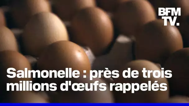 Près de trois millions d'œufs rappelés à cause d'une possible contamination à la salmonelle