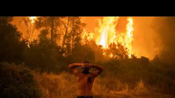 L'île grecque d'Eubée toujours en lutte contre les flammes, accalmie des feux en Turquie