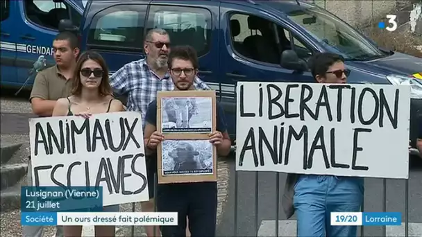 Ploémique sur les réseaux sociaux autour du spectacle du dresseur de l'ours Valentin